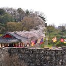 우치로274번길 이미지