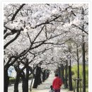 창원대로 이미지