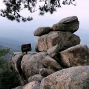 양지-3306 이미지