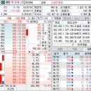 (주)에스비홀딩스코리아