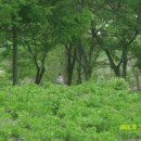 대자연농원 이미지