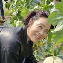 김미자농장 이미지