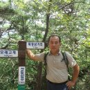 자드락 이미지