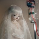 허니드리밍 이미지