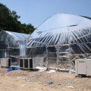 고송농장 이미지