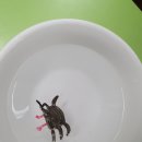 게임라떼 이미지