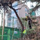 신중초등학교 이미지