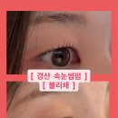 블리채 네이버블로그