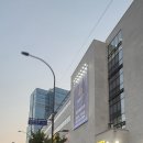 판다팜 이미지