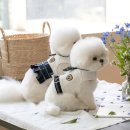 (주)펫츠랜드 이미지