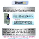 플로민