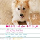 우리동물약국 이미지