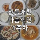 화학조미료를 사용하지않는 반찬쇼핑몰 산들애찬 다솜식단 반찬배달 1주차 후기:)