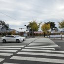 시민공원 북문 앞 횡단보도 | 부산시민공원 11월의 단풍! 너무 예쁘다^^