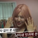 볼로그 이미지
