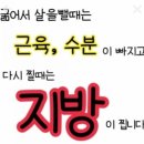 슬림점핑다이어트 이미지