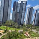 아이파크부자마을공인중개사사무소 | 대전 아이파크 시티 1단지와 함께하는 당신의 새 둥지 찾기 여정