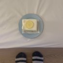 빌롱스테이2 이미지