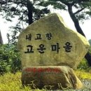 바나나클린 이미지