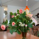 하이홉(hihope) 이미지