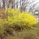 산보갈땐김밥 이미지