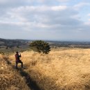 다랑쉬민박 이미지