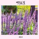 반송순환로 이미지