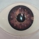 홍채안경원 이미지