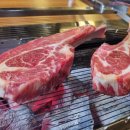 북경양꼬치 | 성신여대 양꼬치 맛집 북경양꼬치 잡내 없는 양갈비 먹고 반한 후기