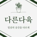여기다육 이미지