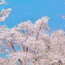 인천대공원역 이미지