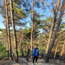 재경 진중 16회 울진 여행 후기 이미지