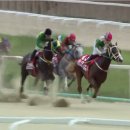 데이,그룸 이미지