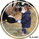 호명사슴농장 | [OLACAMP 카라반캠핑] 130th 노지캠핑(1) : 경기 여주 이포보(22.01.28~02.06)