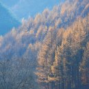 백운동정원 이미지