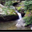 영파목장 이미지