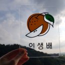인생배 네이버블로그