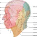 이개의한의원 이미지