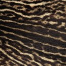 힐링산책코스 이미지