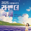 무릉별 유천지 라벤더축제 총정리 : 입장료, 루지, 맛집