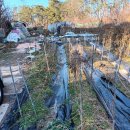 매곡농장 이미지