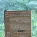 더화이트C | 웰리카 - 리포좀 화이트 클루타치온 비타c 후기 효과