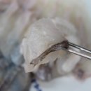 대구횟집 이미지