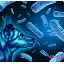 병양농장 이미지