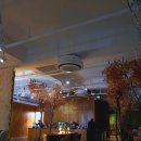 슬로울리인포레스트