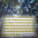 인간의 대지-터 | 더블 클릭 책 | 알간지 책 후기 | 죽은 땅에서만 피어나는 꽃이 있습니다 추천 리뷰 핵심 요약