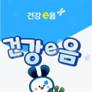 안전e음