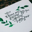 수채 캘리그라피 이미지