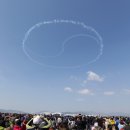 태극그린