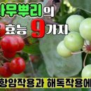 나무가람 이미지
